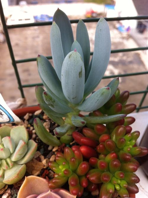 ͻƣйͱ׼ֱ7.7%11.3%