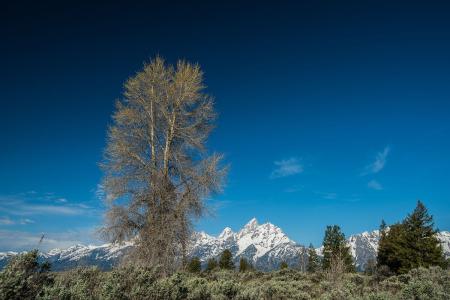 ͨ䲿Сͳ޾Ӫ߲泵ṩ